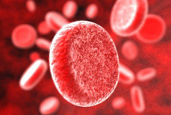 Принципы исцеления организма: кровь Krov1